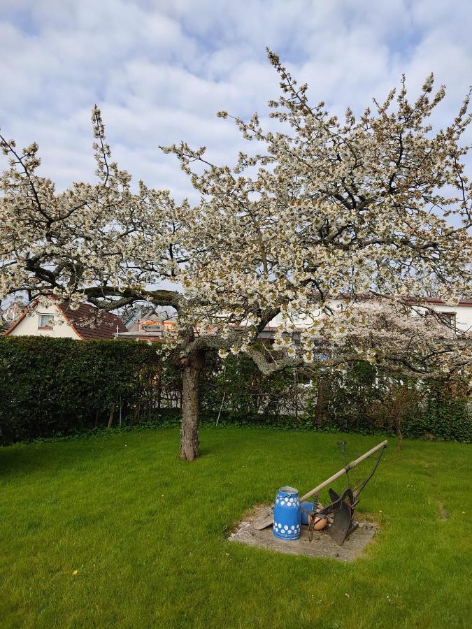 Ferienwohnung Ostseestrandlaeufer 2 Zingst Esterno foto